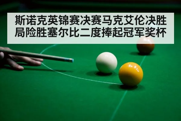 斯诺克英锦赛决赛马克艾伦决胜局险胜塞尔比二度捧起冠军奖杯